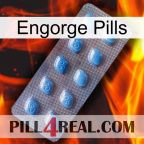 Engorge Pills viagra3